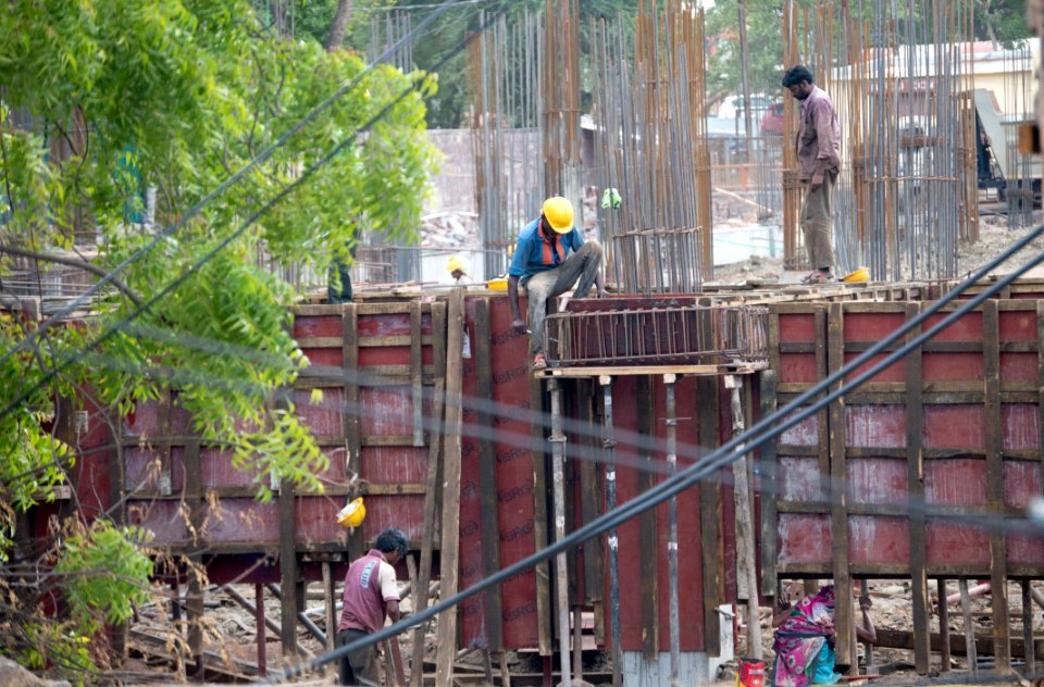 Construction, Tree, Construction Worker, Track