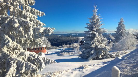 Winter, Snow, Tree, Sky photo