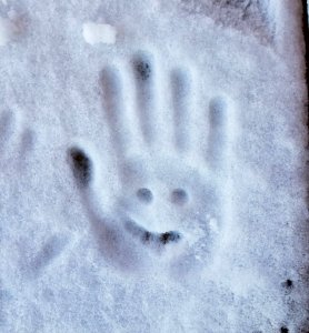 Snow, Freezing, Winter, Footprint photo