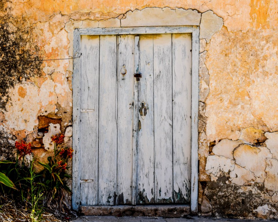 Wall, Door, Wood, Window photo