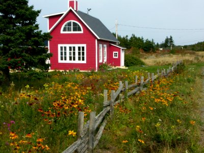 House, Flower, Cottage, Wildflower photo