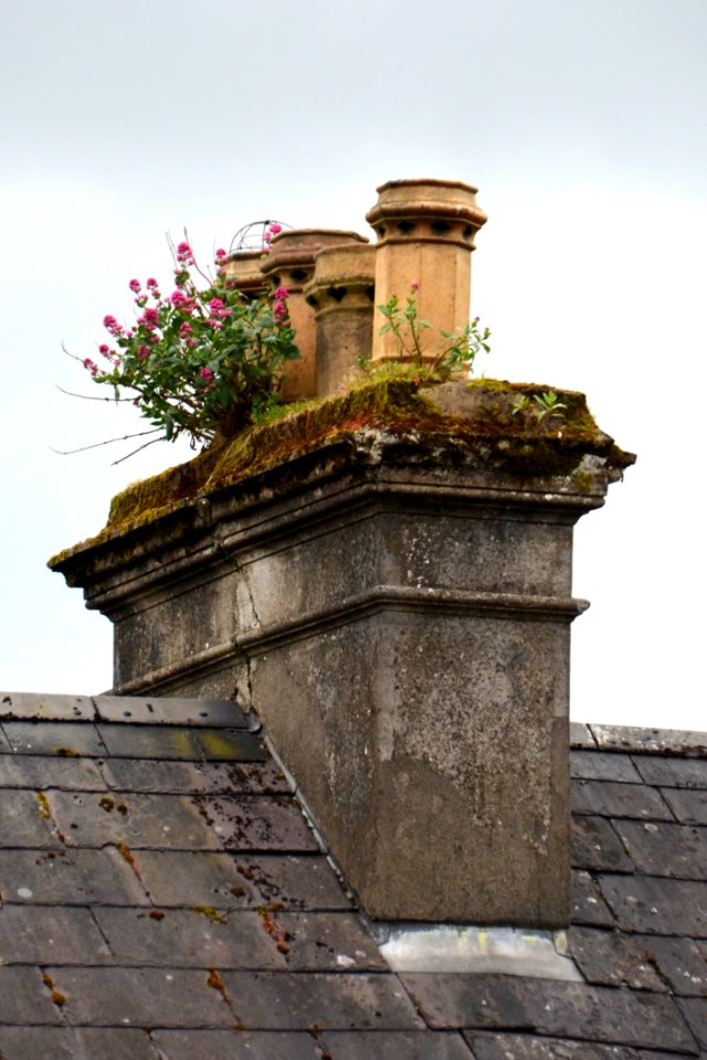 Wall, Sky, Roof, Chimney