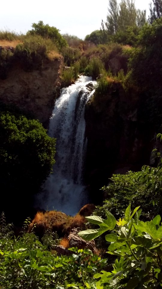 Waterfall, Vegetation, Nature, Nature Reserve