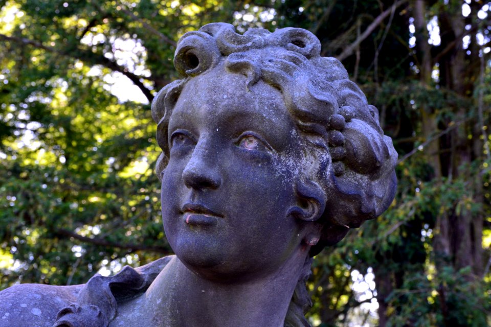 Sculpture, Statue, Tree, Head