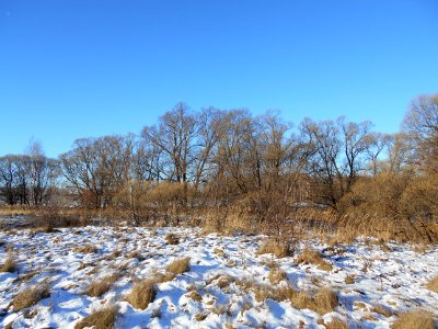 Winter, Snow, Sky, Ecosystem photo