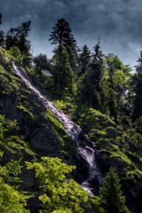 Nature, Water, Vegetation, Wilderness