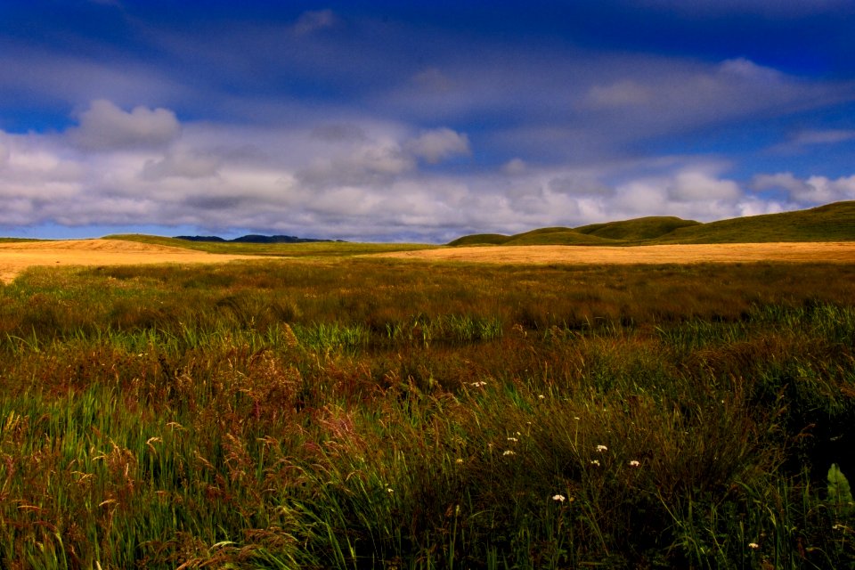 Grassland, Ecosystem, Prairie, Sky photo