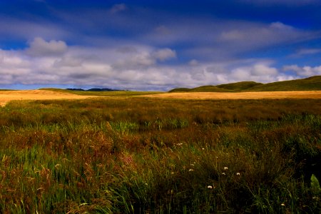 Grassland, Ecosystem, Prairie, Sky photo