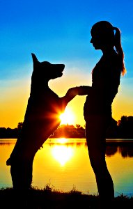 Silhouette, Sky, Sunrise, Sunset