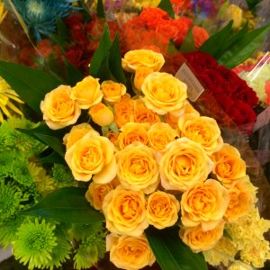 Flower, Yellow, Floristry, Flower Arranging