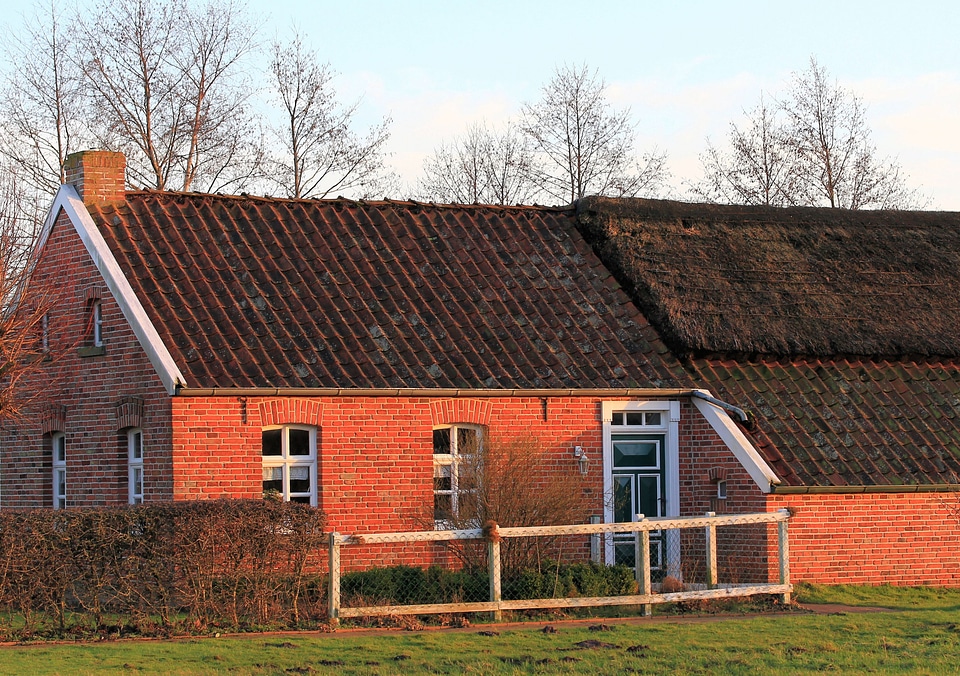 Livestock live roof