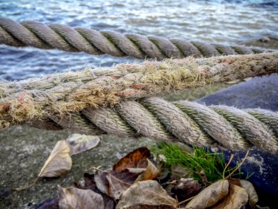 Water, Shore, Grass, Sea photo