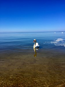 Sea, Sky, Coast, Horizon