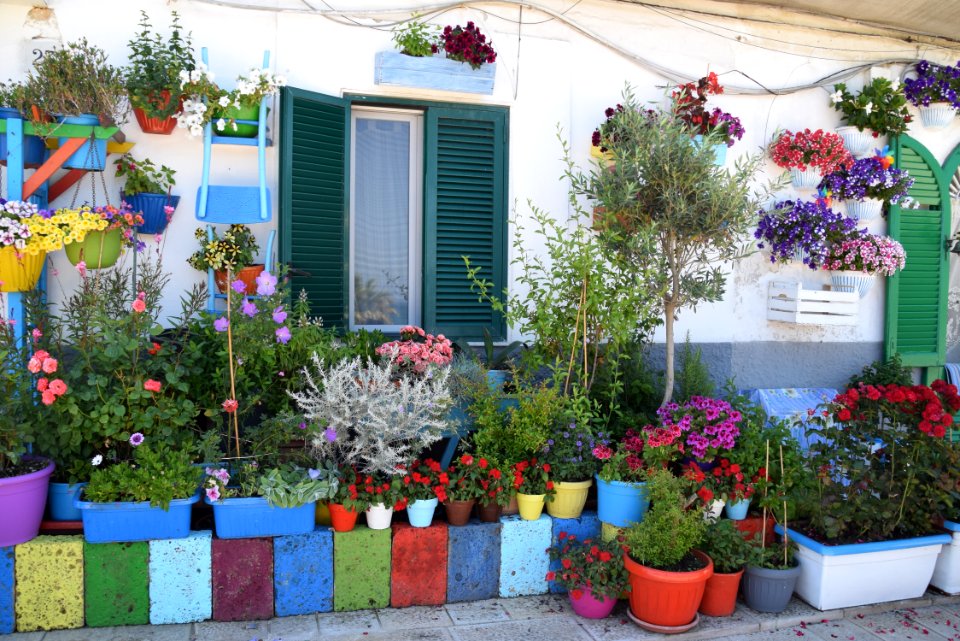 Flower, Plant, Flora, Floristry