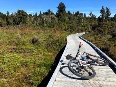 Land Vehicle, Path, Cycling, Road Bicycle