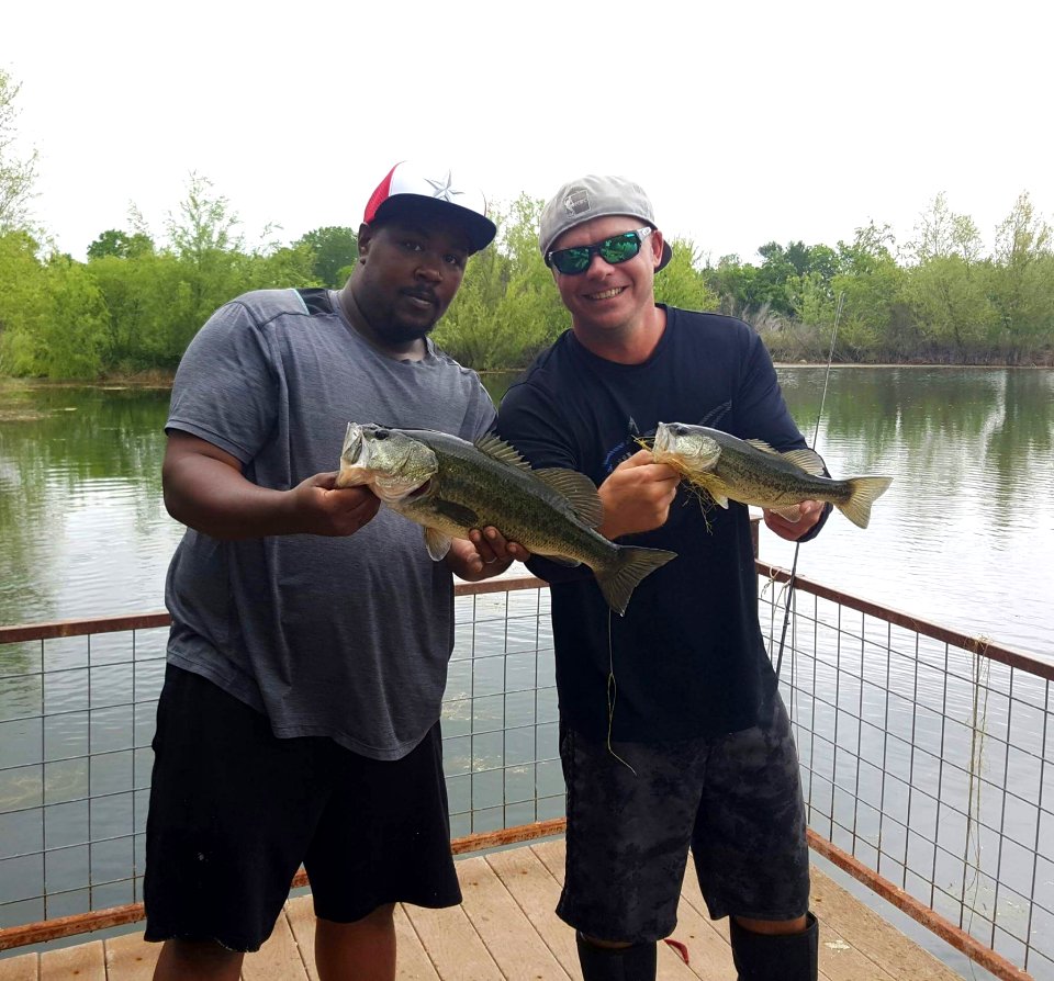 Bass, Fishing, Recreational Fishing, Fishing Rod