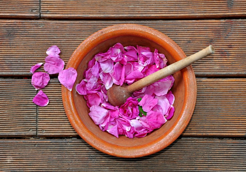 Pink, Petal, Flower