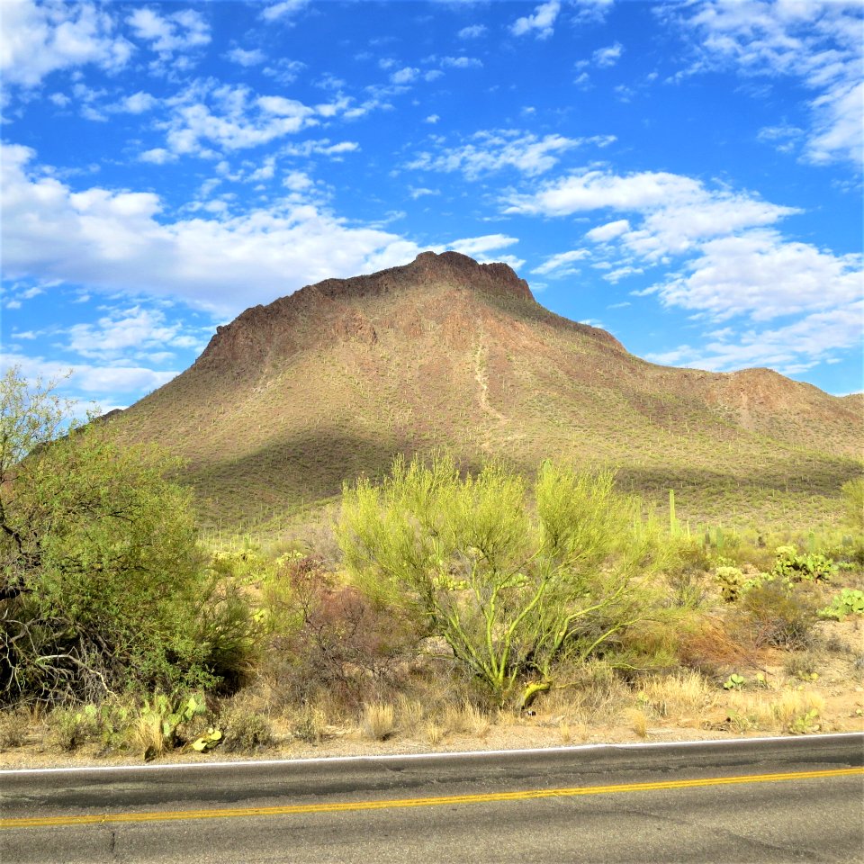 Sky, Ecosystem, Vegetation, Mountainous Landforms photo