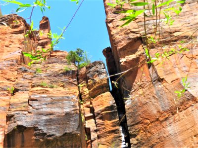 Rock, Tree, Formation, Outcrop photo