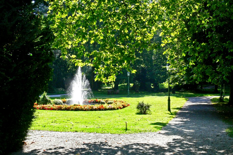Nature, Water, Leaf, Garden
