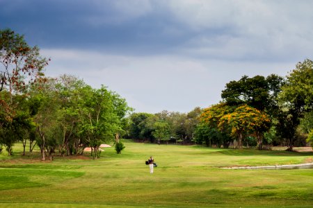 Nature, Sky, Golf Course, Tree photo