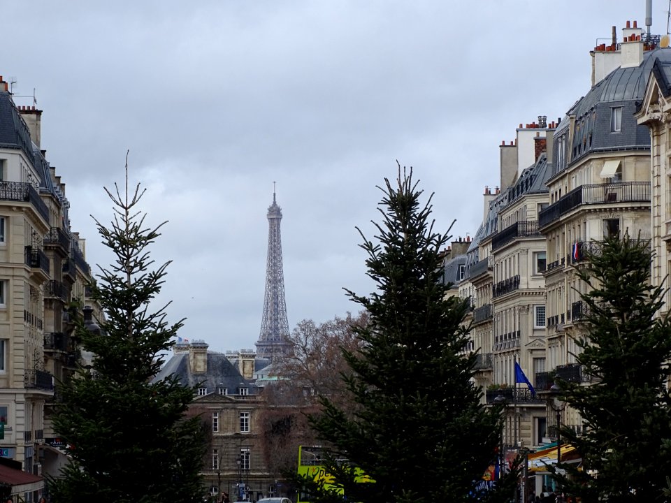 Sky, City, Metropolitan Area, Town