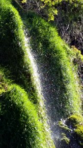 Vegetation, Water, Nature Reserve, Grass