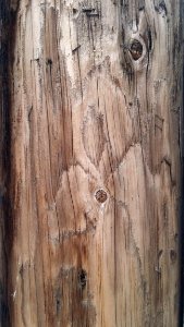 Wood, Trunk, Tree, Wood Stain