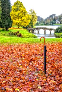 Leaf, Nature, Autumn, Water