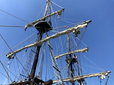 Sailing Ship, Tall Ship, Mast, Ship photo