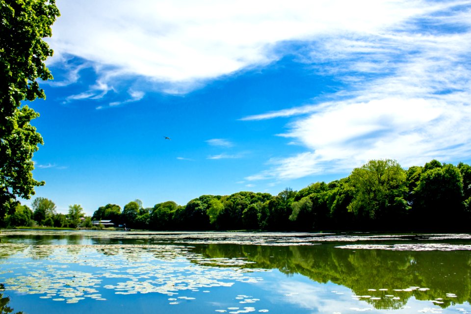 Sky, Reflection, Water, Nature