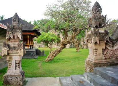 Historic Site, Archaeological Site, Ancient History, Tree