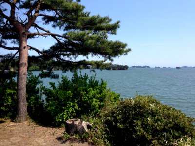 Tree, Vegetation, Nature Reserve, Coast photo