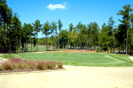 Golf Course, Grass, Tree, Golf Club