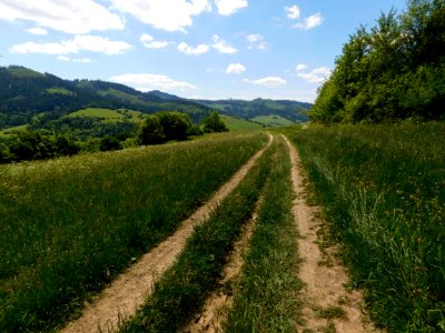 Road, Path, Grassland, Vegetation photo