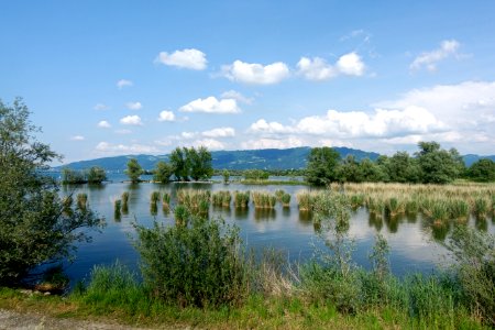Nature Reserve, Wetland, Water Resources, Sky photo