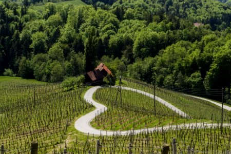 Agriculture, Field, Path, Hill Station