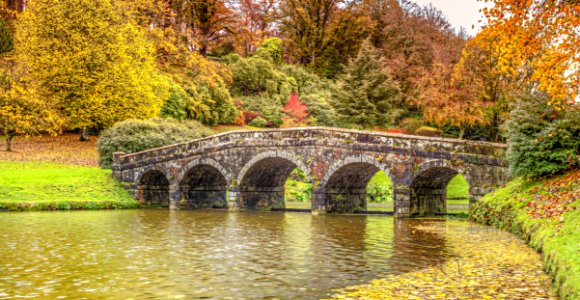 Reflection, Waterway, Leaf, Nature