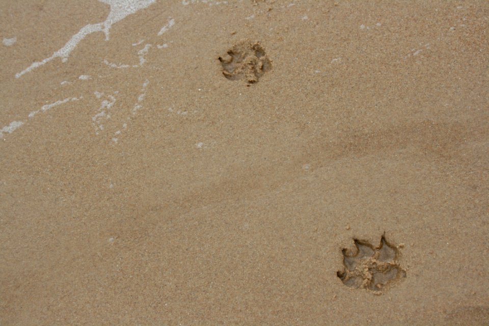 Sand