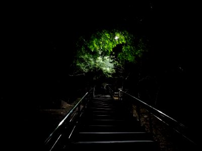 Darkness, Tunnel, Night, Forest