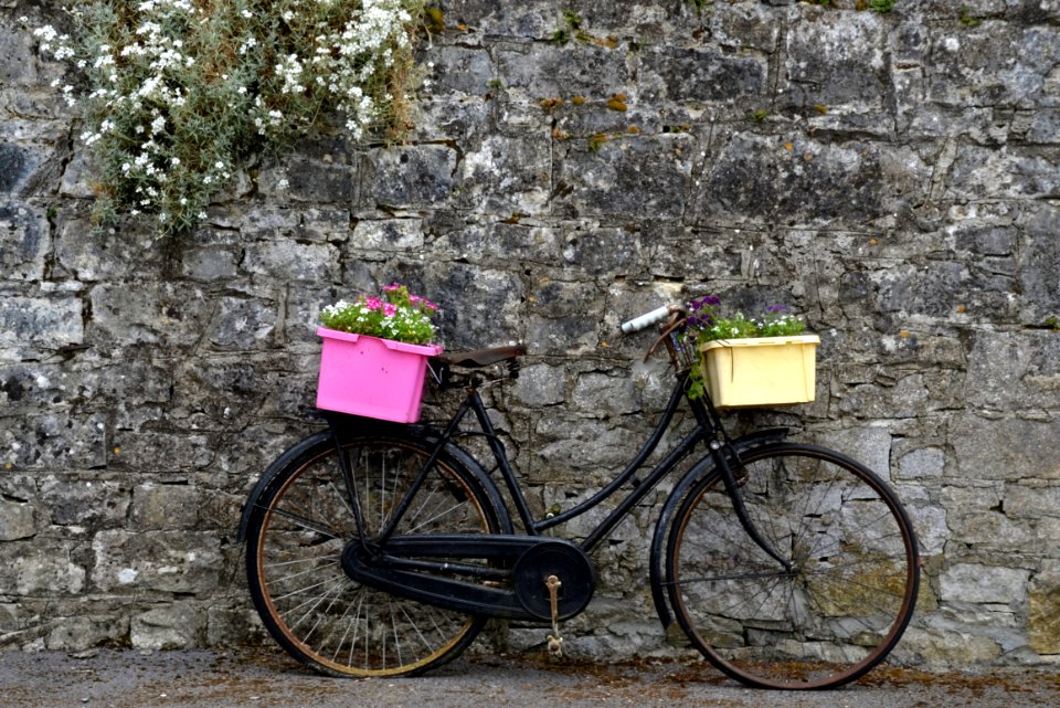 Land Vehicle, Bicycle, Road Bicycle, Vehicle