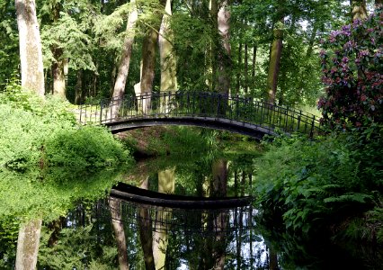 Reflection, Water, Nature, Green