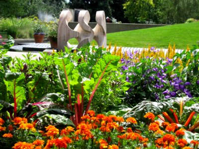 Garden, Plant, Botanical Garden, Flower