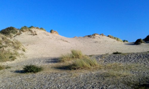 Ecosystem, Badlands, Chaparral, Shrubland