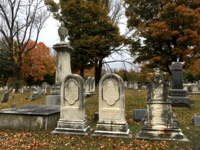 Cemetery, Grave, Headstone, Tree photo