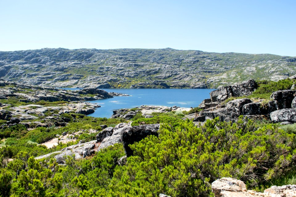 Nature Reserve Coast Vegetation Promontory