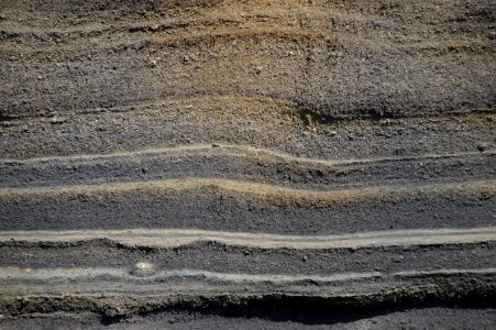 Geology Soil Wood Sand photo