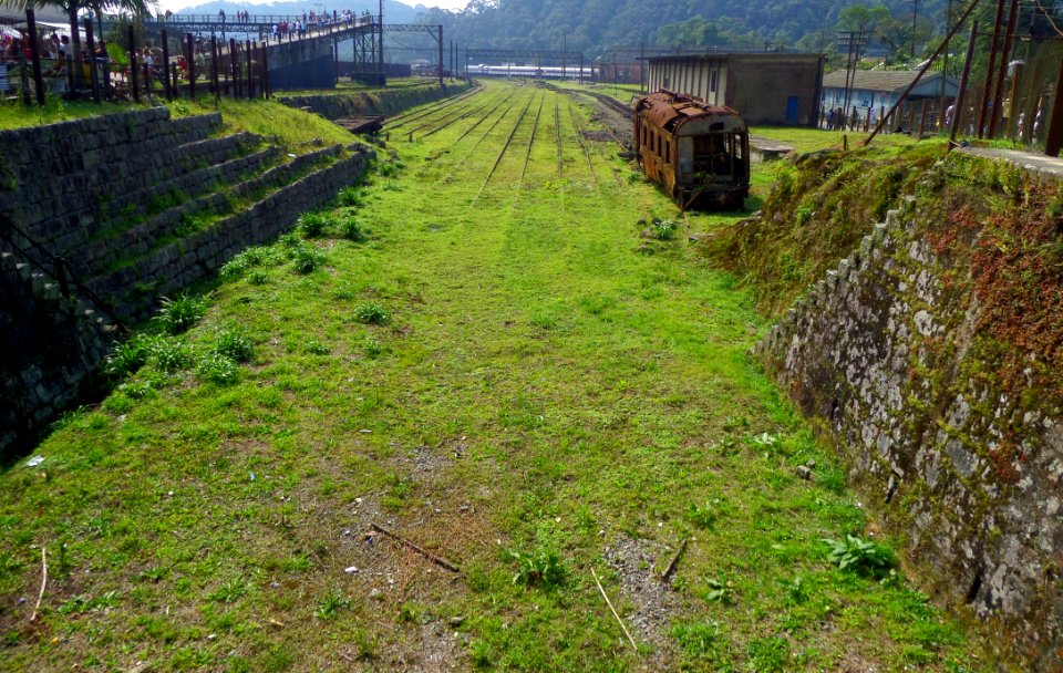 Vegetation Grass Geological Phenomenon Soil