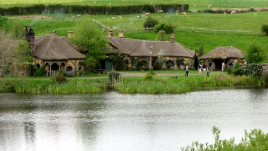 Nature Reserve Reflection Wetland Bank