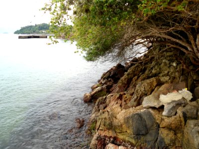 Nature Reserve Water Shore Coast